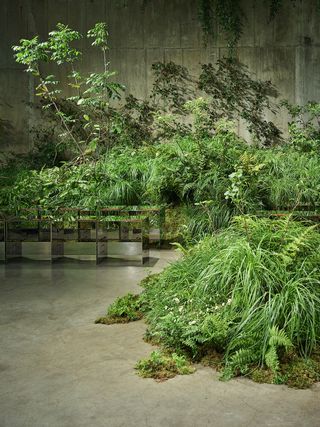 Gucci filled Tate Modern’s Tanks with thousands of plants for its latest Cruise show