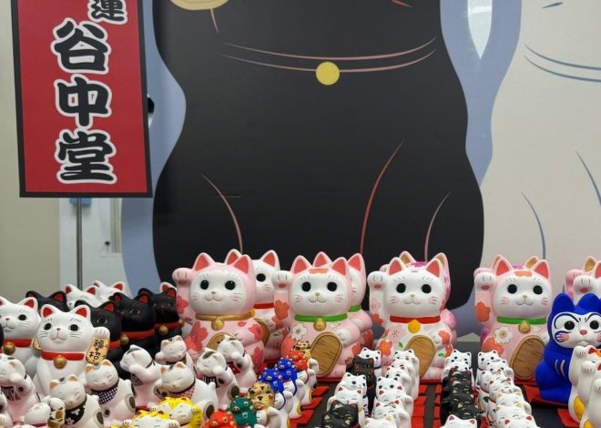 5 shopping events in Hong Kong this weekend Aug 2-4, including Cat Expo