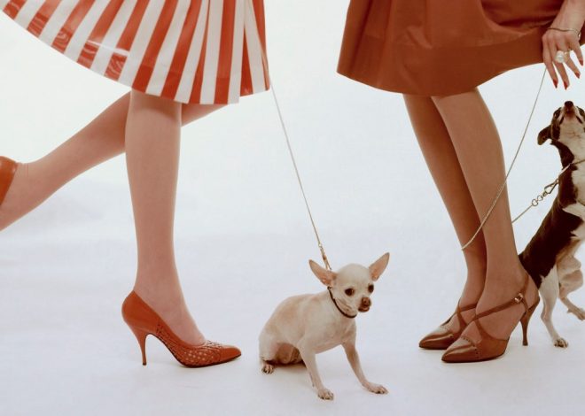 There’s Perfume for Your Pooch, Too