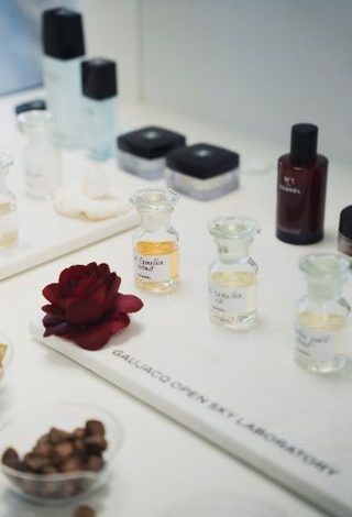 Inside the Chanel Open-Sky Laboratory, where 2,000 varieties of camellia flowers bloom