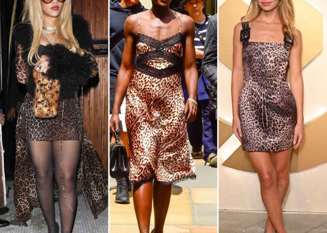 See How Stars Style the Cheetah Print Trend in Fall 2024: Rihanna, More