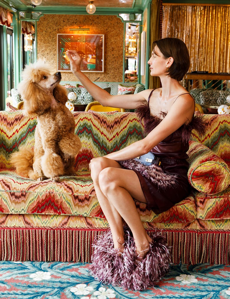 Woman feeding poodle