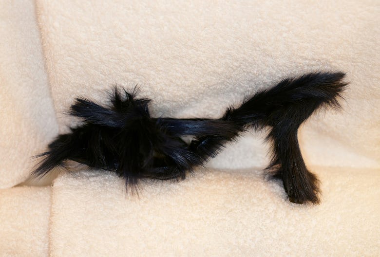 Black furry mule